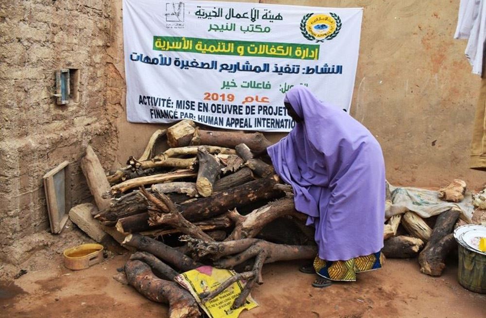 Picture of   11081/2021 - Firewood project in Niger