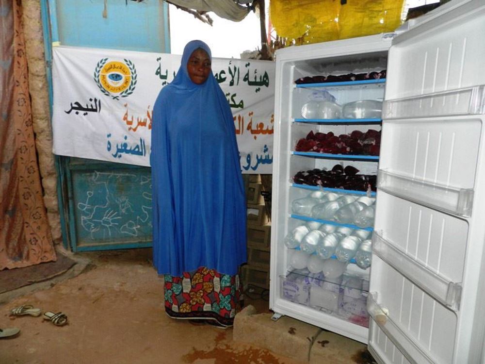 Picture of 11071/2021 Ownership of a refrigerator with accessories in Niger