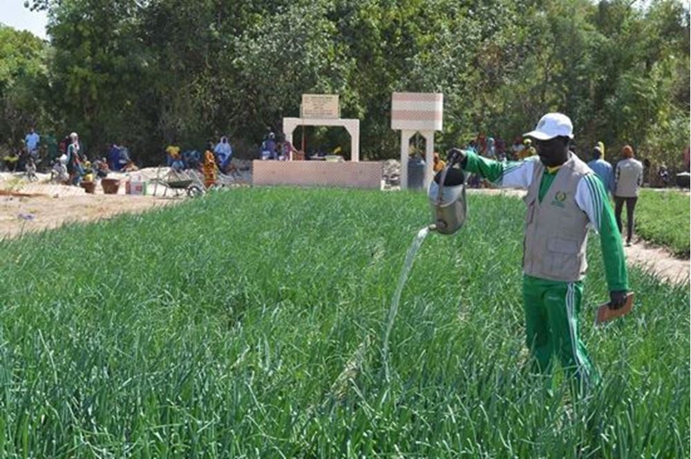 صورة إقامة مشروع زراعي - السنغال