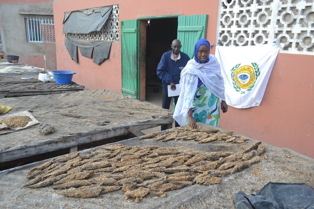 Picture of Dried fish trade - Niger Project No. 11087/2021