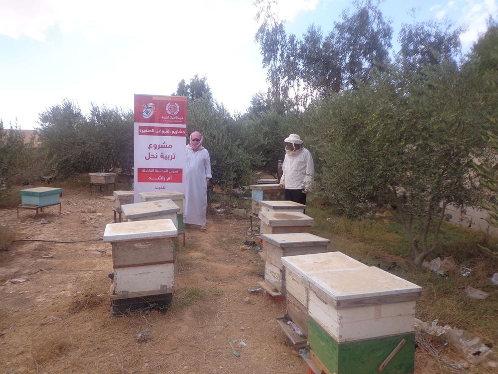 Picture of Beekeeping - Jordan Project No. 4591/2020