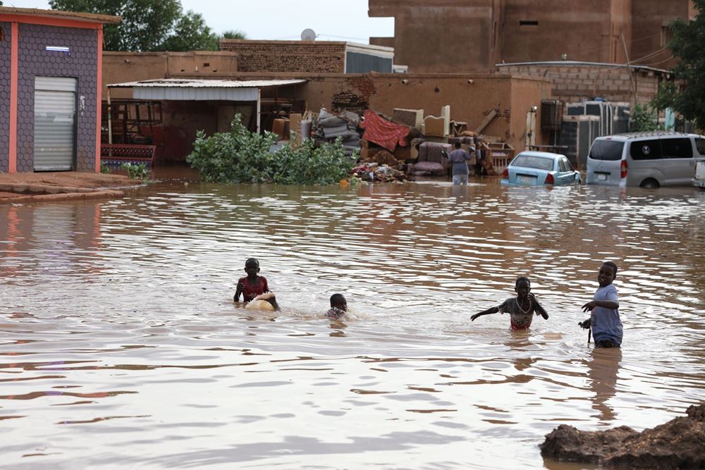 صورة مشروع ردم البرك في الأحياء للمتضررين من السيول والفيضانات