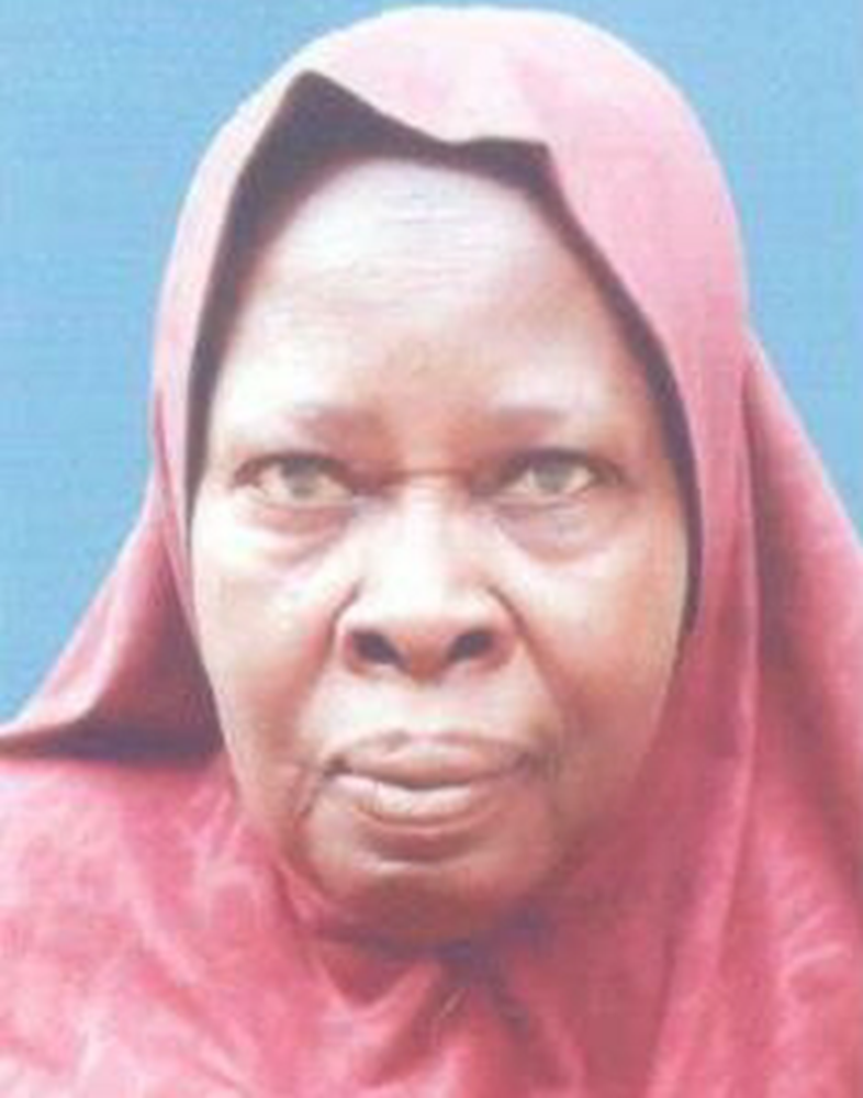 Picture of  Warranty for the elderly woman, Zara - Niger - 0415592