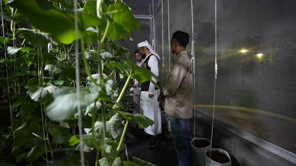 Picture of Create an agricultural house