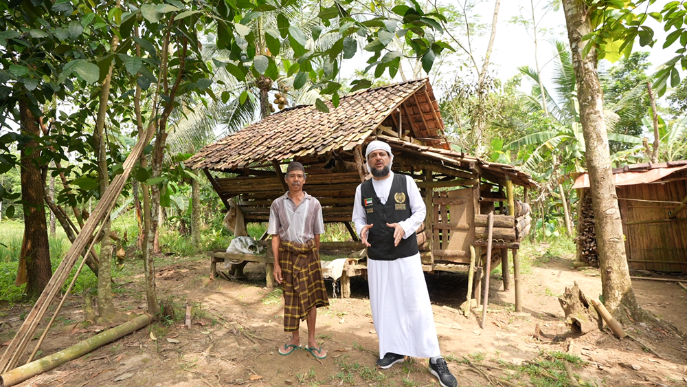 Picture of Sheep ownership