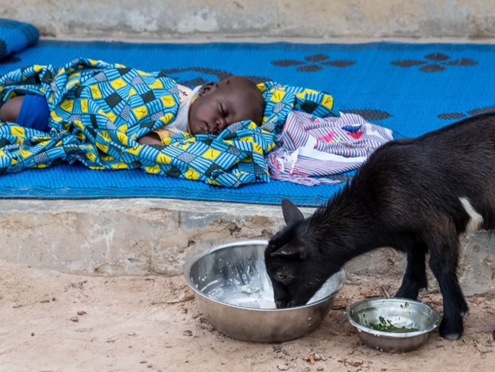 صورة أطفال يصارعون الجوع