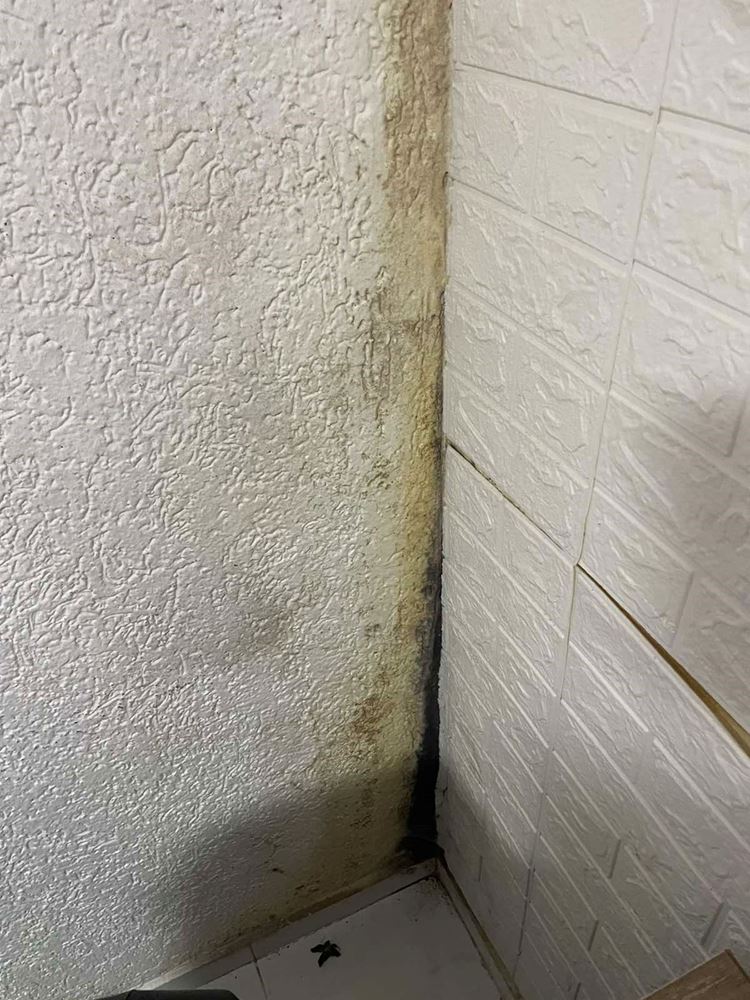 صورة طلاء منزل اسرة ايتام