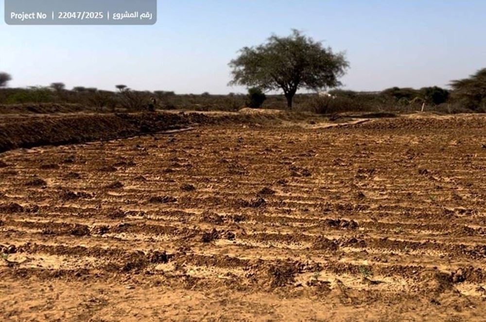 صورة مشروع بئر + استصلاح ارض زراعية