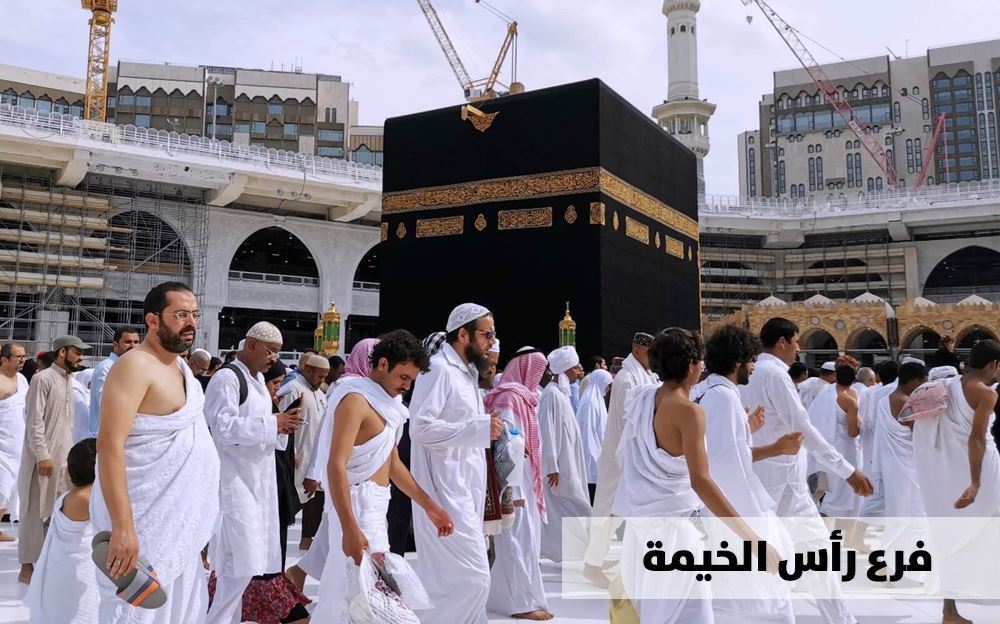 Picture of Pilgrimage Replacement 