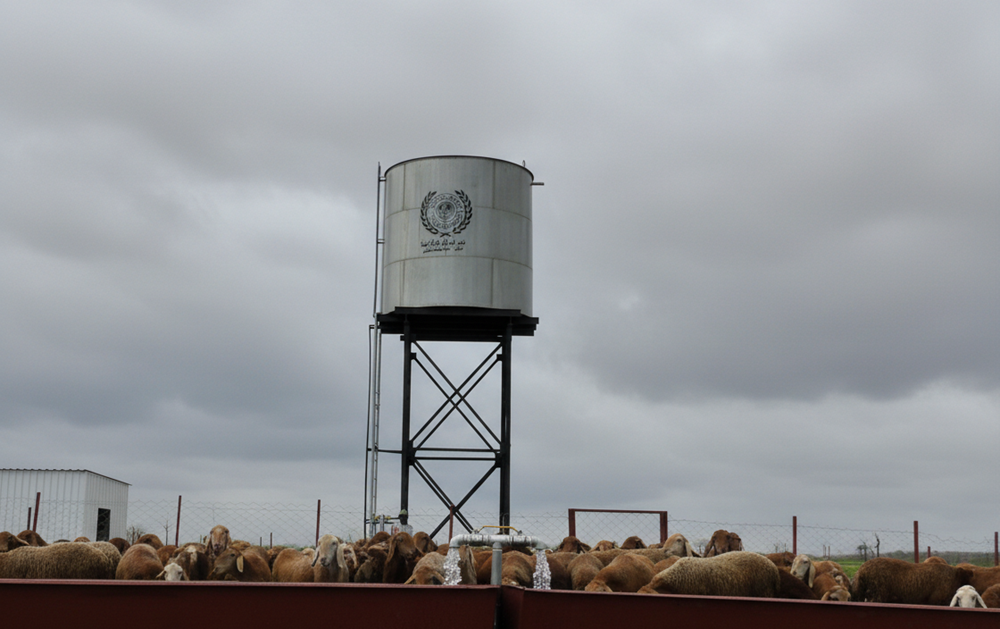 صورة بئر ارتوازي لسكان قرية نائية