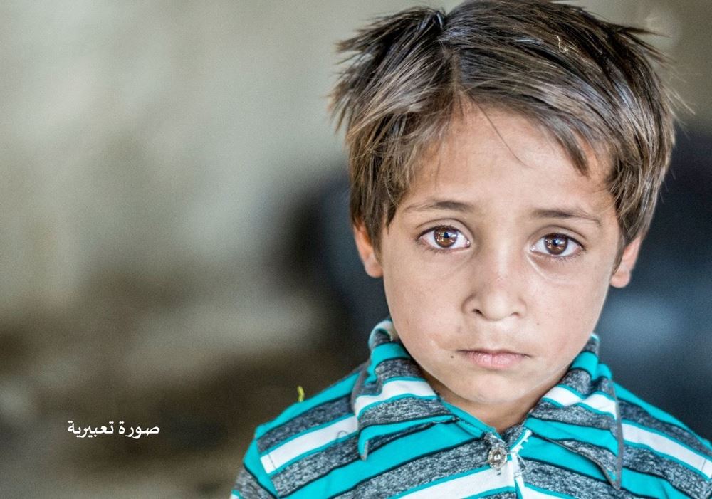 Picture of Orphan - Ryan - 01772180