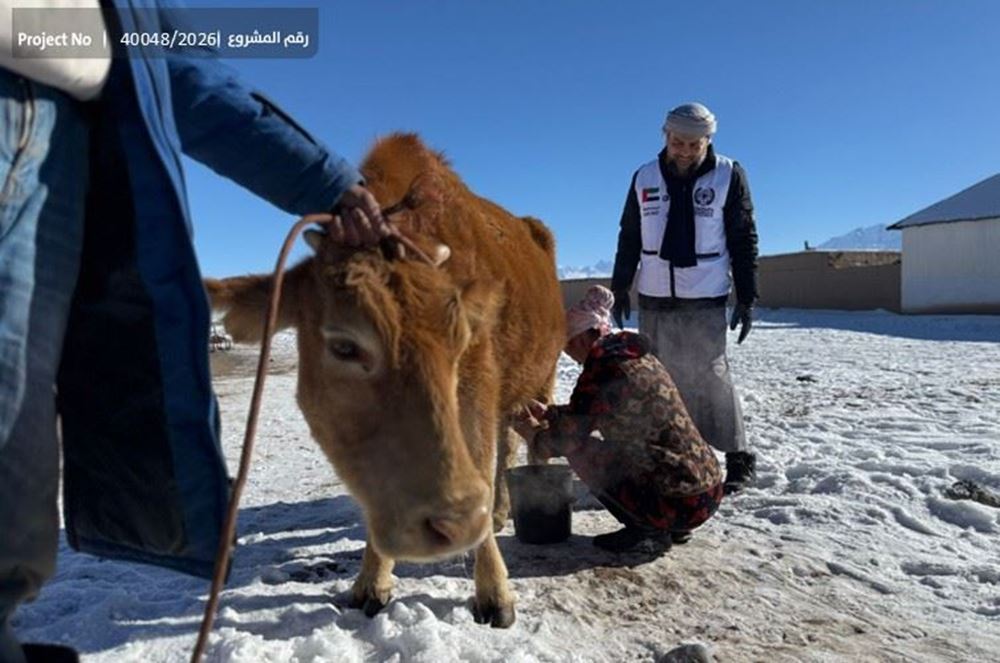 صورة أسر فقيرة بحاجة ماسة لعونكم