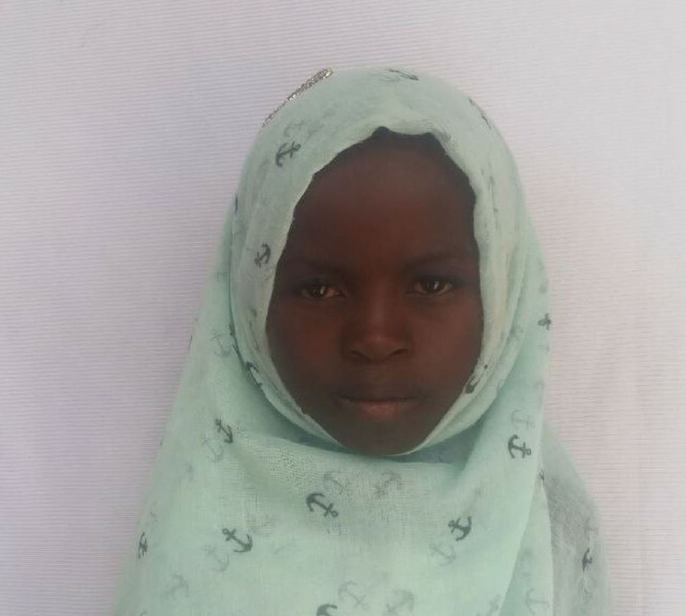Picture of The Orphan Girl - Bat - 58463