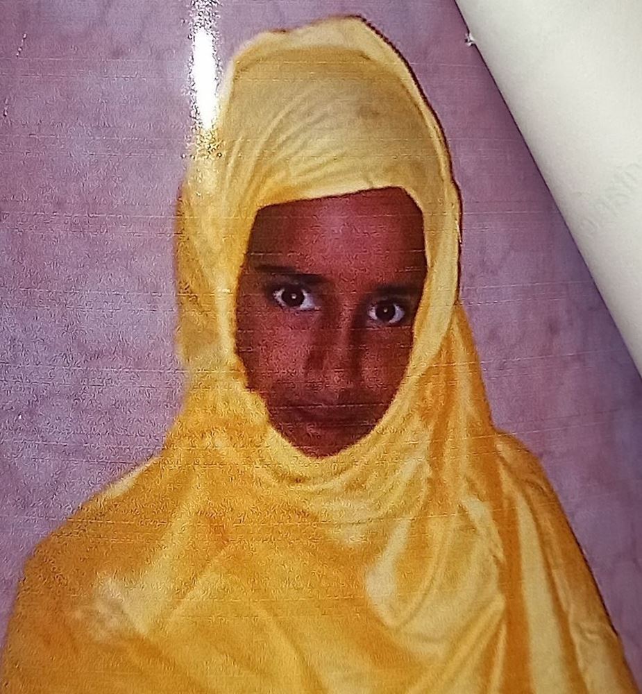 Picture of The Orphan Girl - Taslam - 401353
