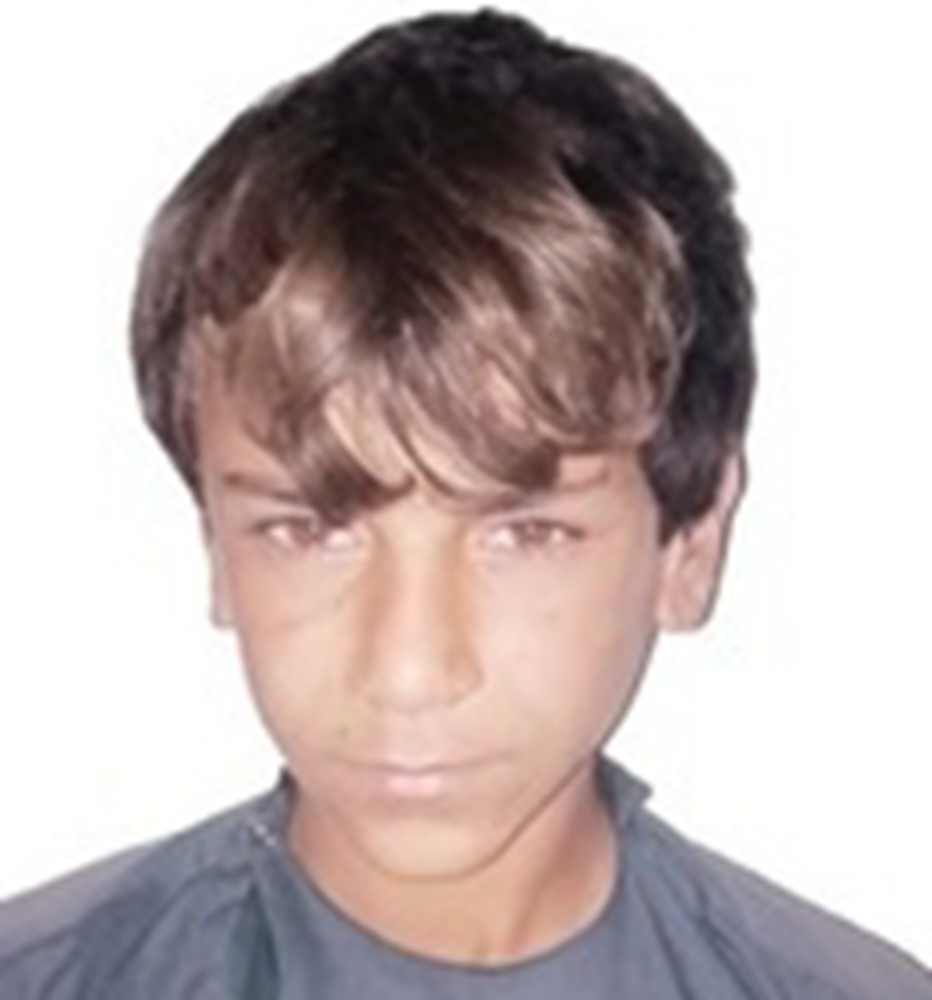 Picture of Orphan Haywad - 64682